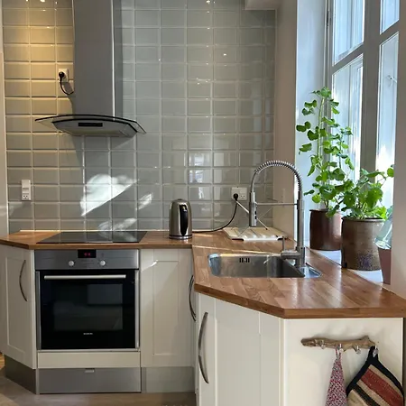 Apartman Hel Bylejlighed I Det Gamle Pulsernede Svendborg